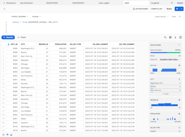 Snowflake User Interface