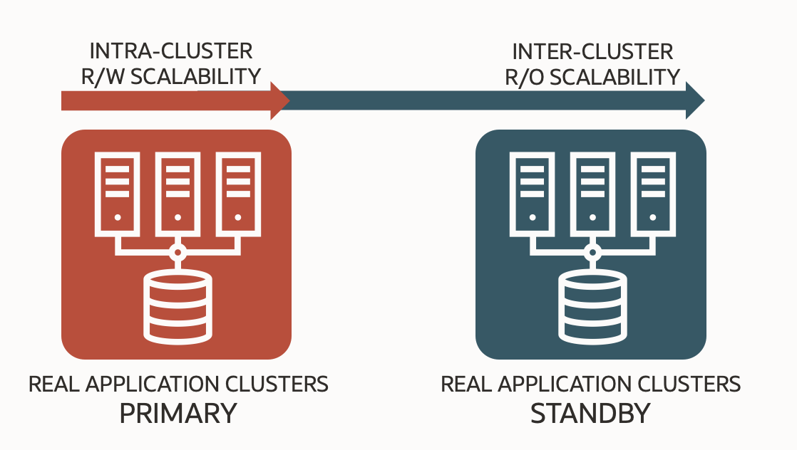 Two RAC databases are configured in an Active Data Guard configuration for both read-write and read-only scalability.