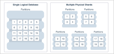 Oracle Globally Distributed Database
