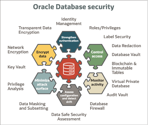 Oracle Database Security