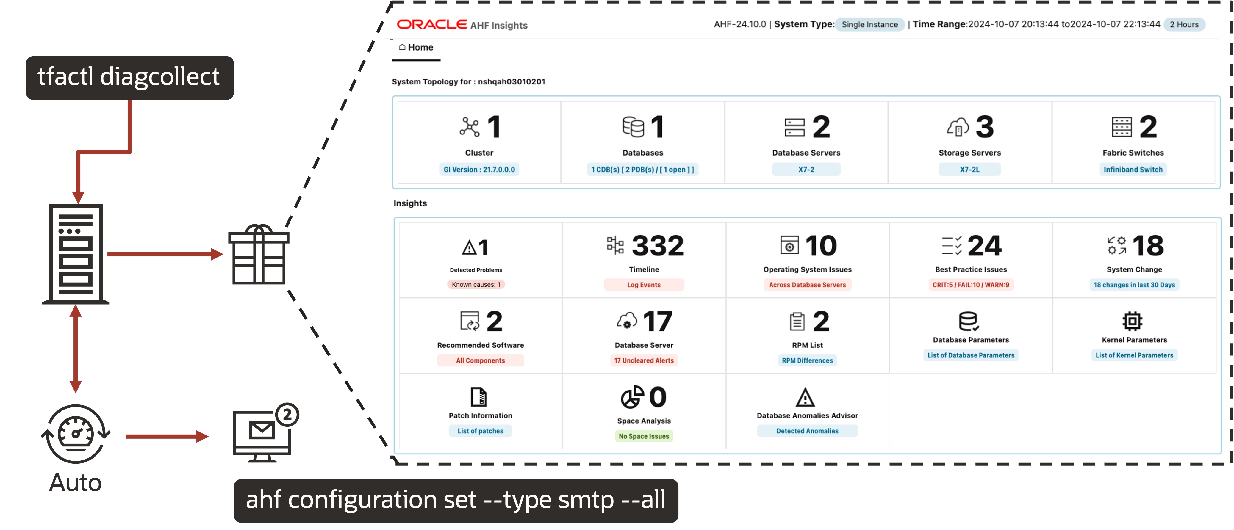 insights in every collection