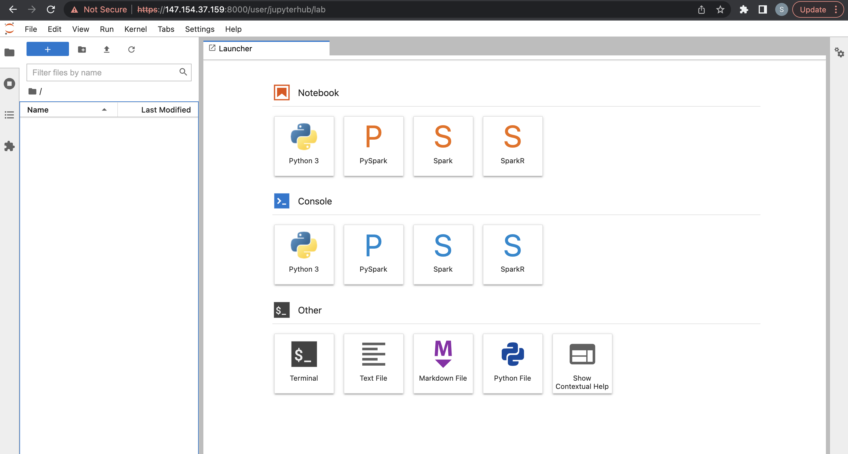 A screenshot of the Jupyter service launcher.