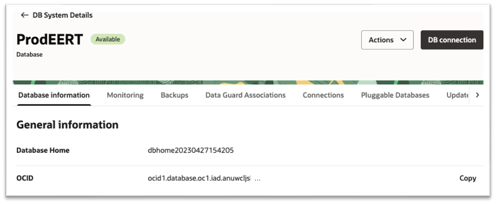 OCI Database information screen with the OCID