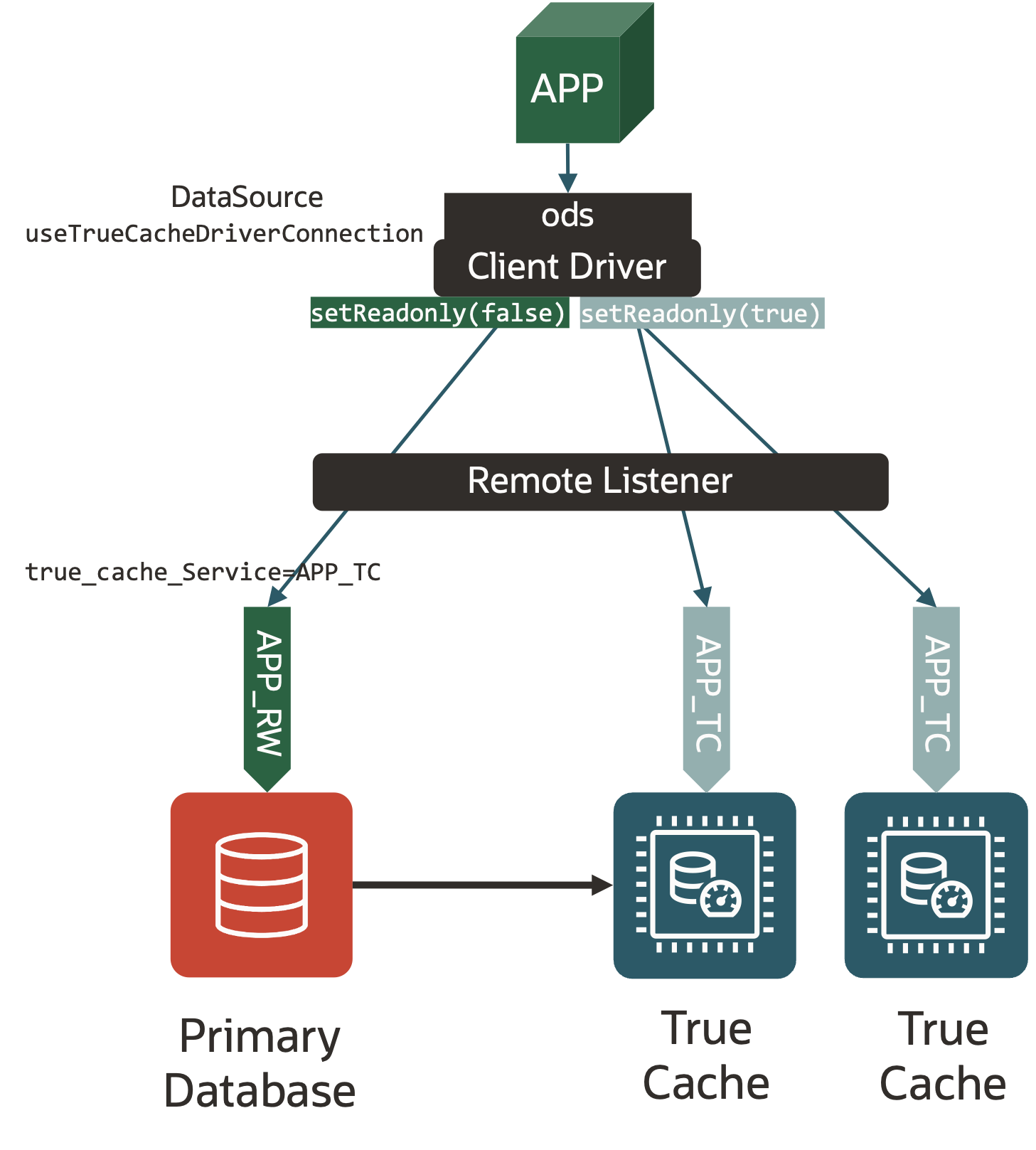 The diagram shows the application using a single data source to connect to the database, and the connection goes transparently to the primary service or the True Cache service depending on setReadOnly()