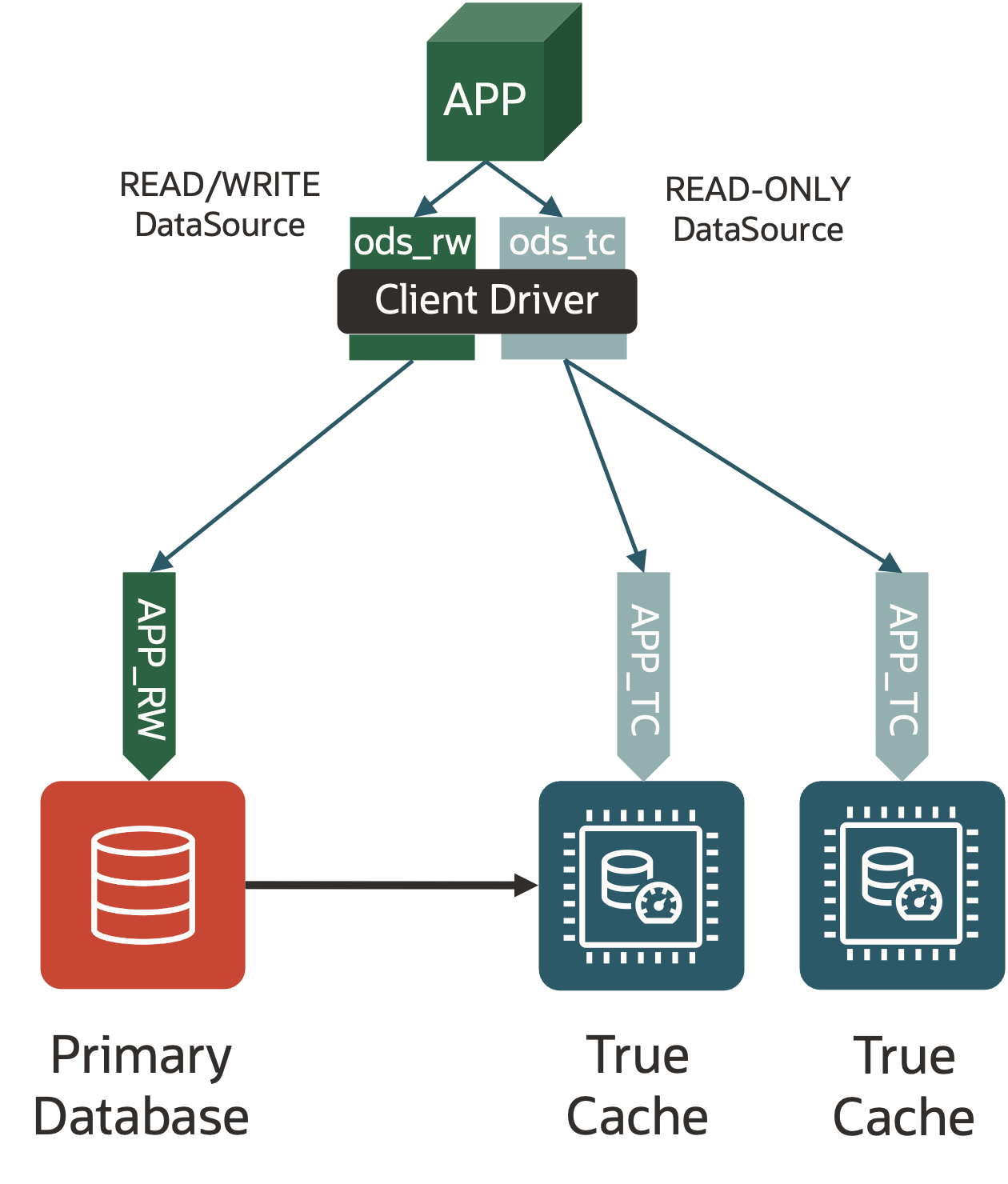 The diagram shows an application using two data sources to connect respectively to the primary service and the True Cache service.